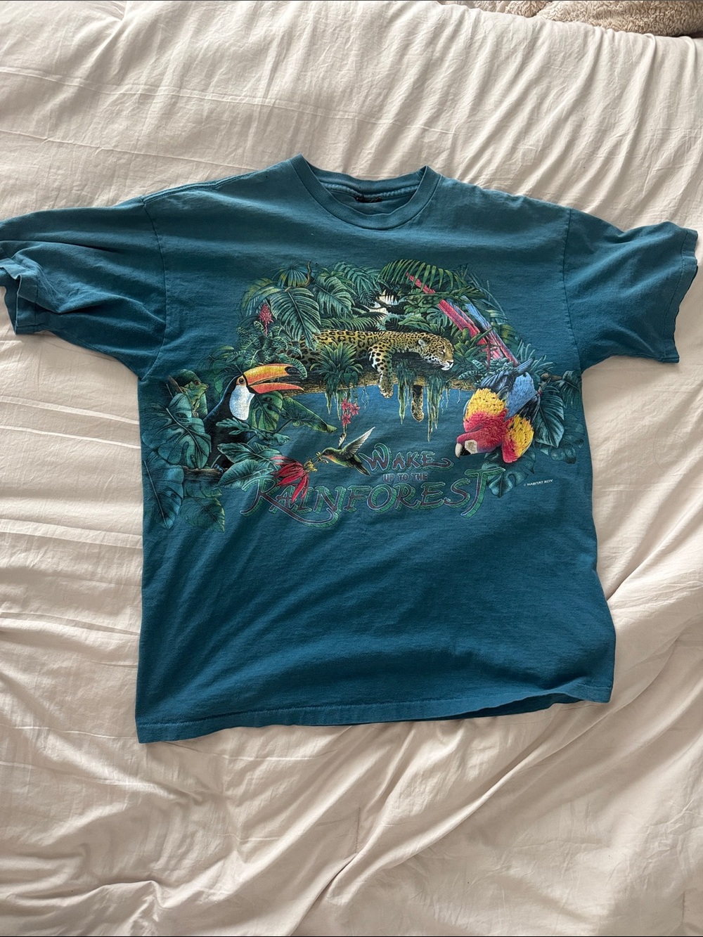 Vintage Teal 'Wake of the Rainforest' Short Sleeve Graphic Tee